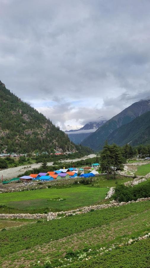 Luxury tent Baspa Valley Adventure Camp